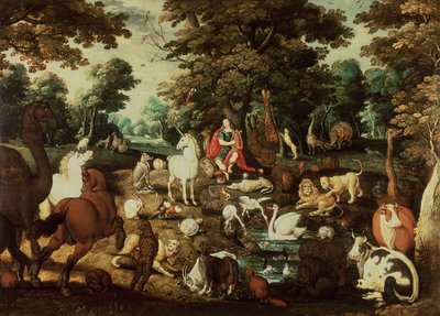 奥菲斯迷人的动物 作者 雅各布·布塔兹